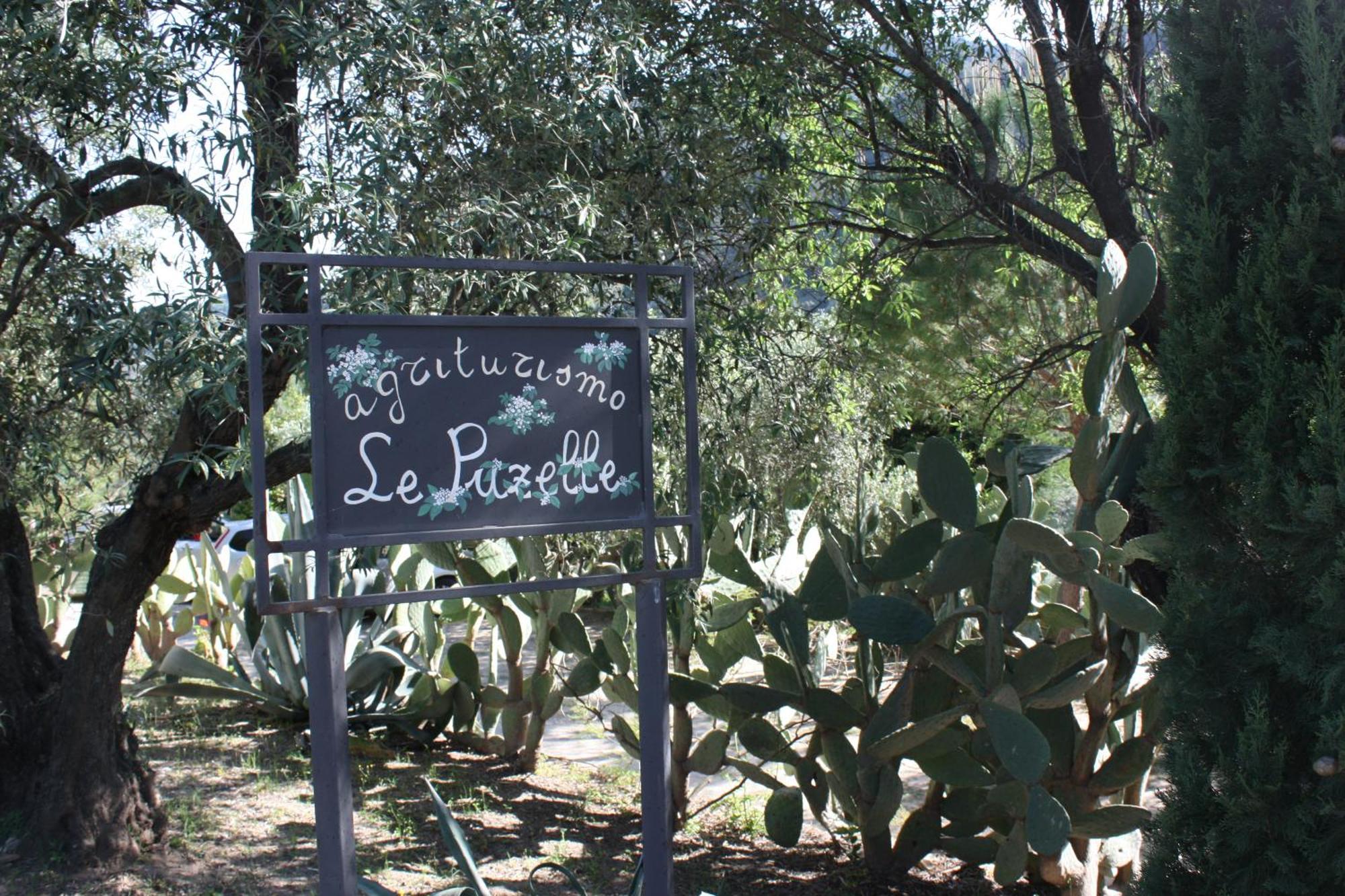 Azienda Agrituristica Biologica Il Querceto Santa Severina Exterior foto